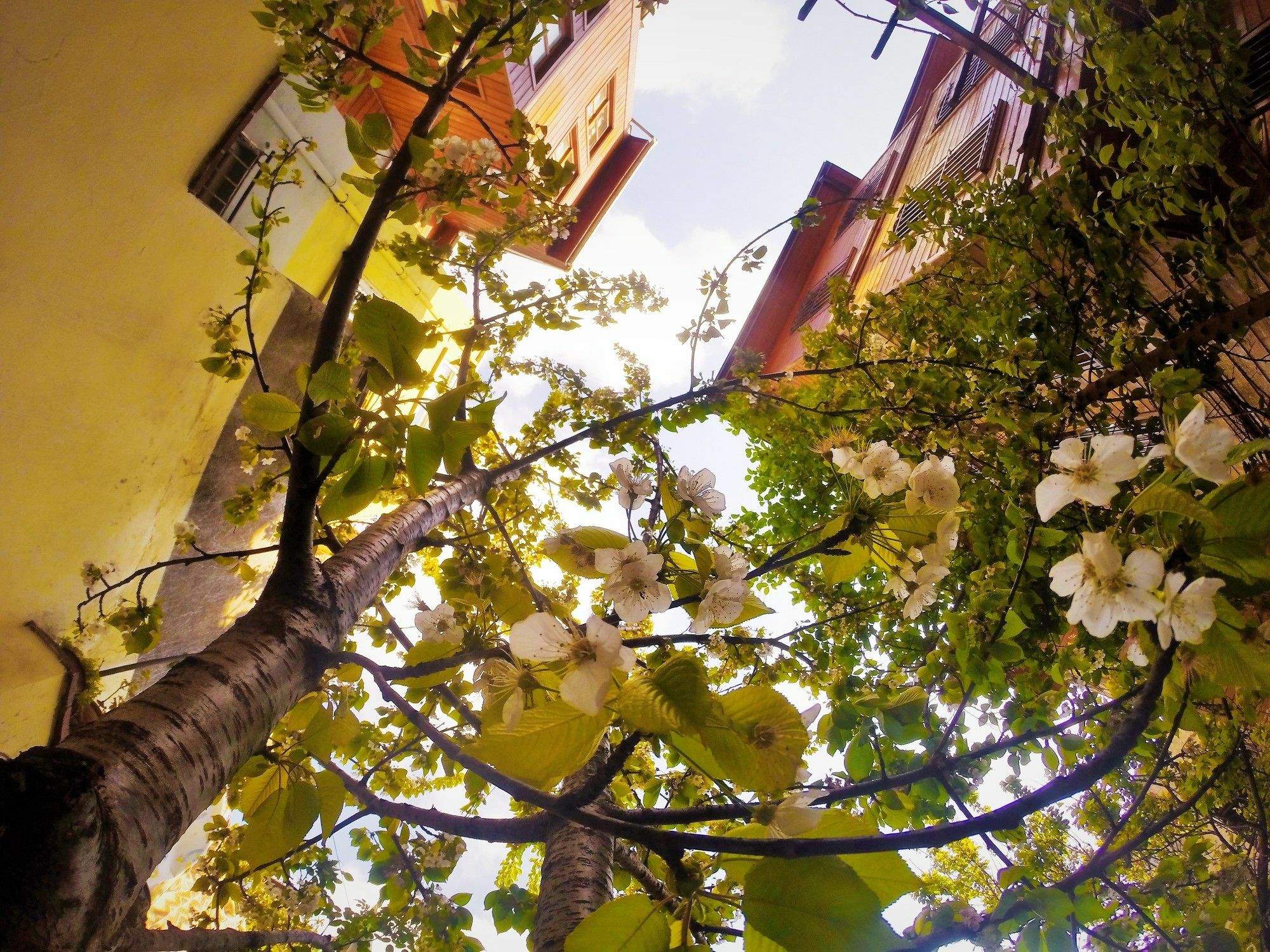 Ottoman's Pearl B&B 3*